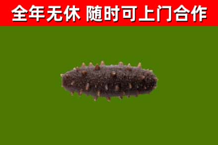 鲅鱼圈区烟酒回收干海参.jpg